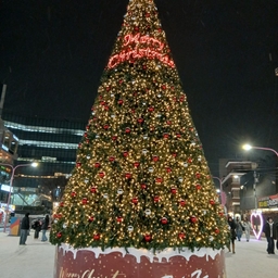 피드에 업로드 된 이미지