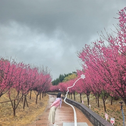 피드에 업로드 된 이미지