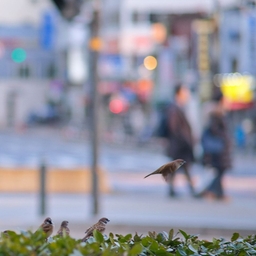 피드에 업로드 된 이미지