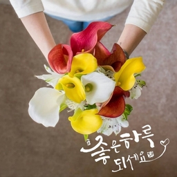 피드에 업로드 된 이미지