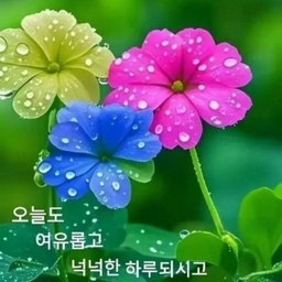 피드에 업로드 된 이미지