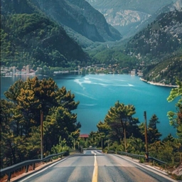 피드에 업로드 된 이미지