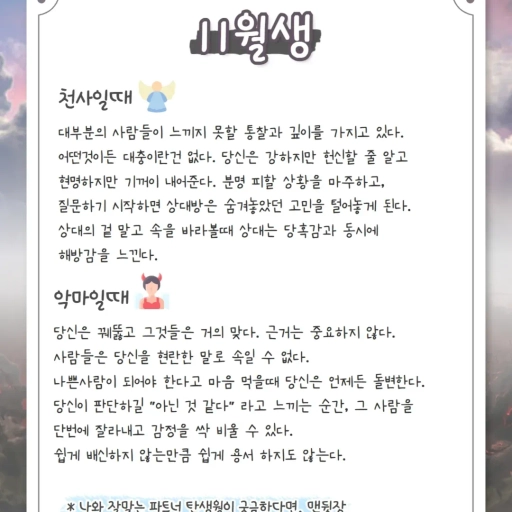 피드 이미지