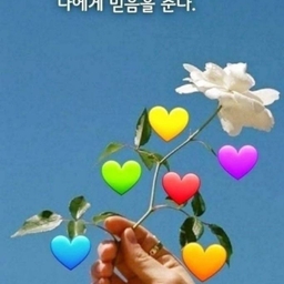 피드에 업로드 된 이미지
