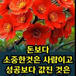 피드에 업로드 된 이미지