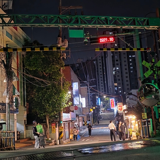 피드 이미지