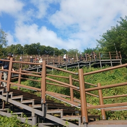 피드에 업로드 된 이미지