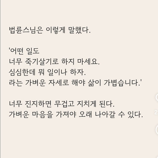 피드 이미지