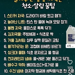 피드에 업로드 된 이미지