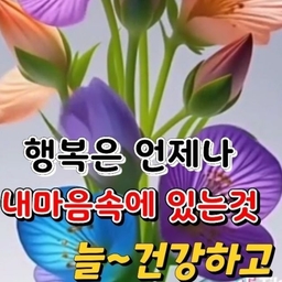 피드에 업로드 된 이미지