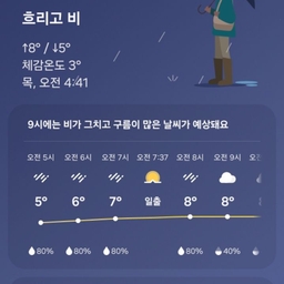 피드에 업로드 된 이미지