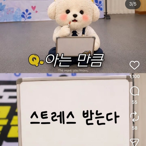피드 이미지