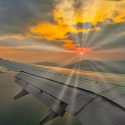 피드에 업로드 된 이미지