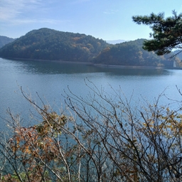 피드에 업로드 된 이미지