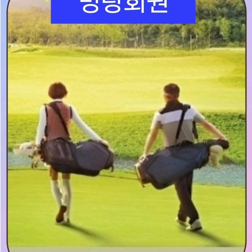 피드 이미지