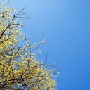 참가 유저 프로필