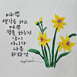 피드에 업로드 된 이미지