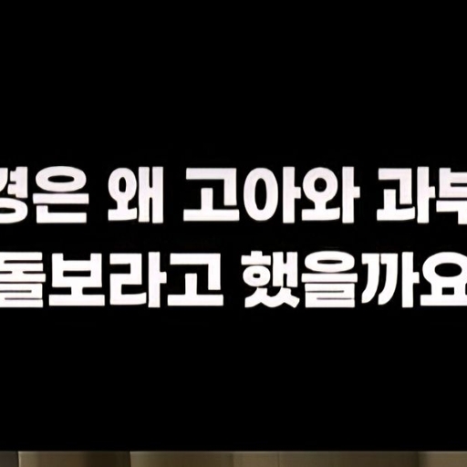 피드 이미지