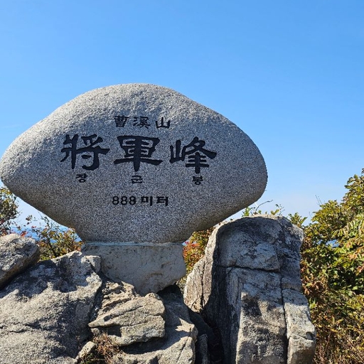 피드 이미지