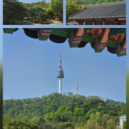 피드에 업로드 된 이미지