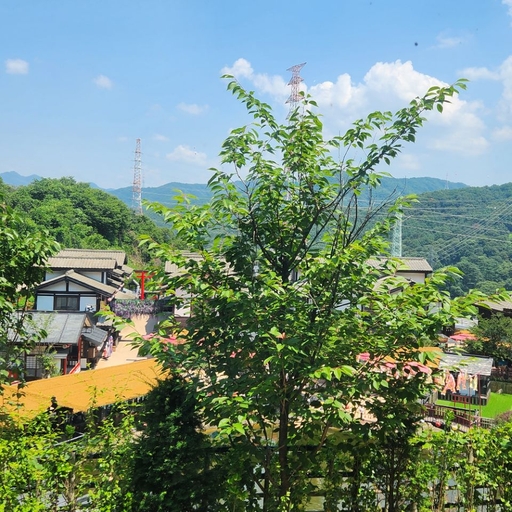 피드 이미지