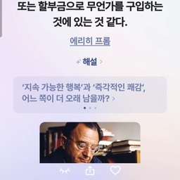 피드에 업로드 된 이미지