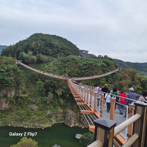 피드 이미지