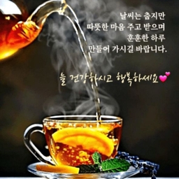 피드에 업로드 된 이미지