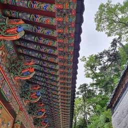 피드에 업로드 된 이미지