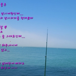 피드에 업로드 된 이미지