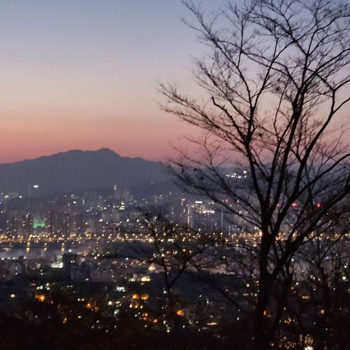 피드 이미지