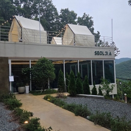 피드에 업로드 된 이미지