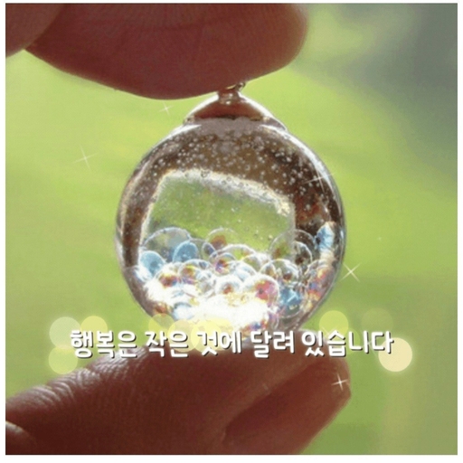 피드 이미지