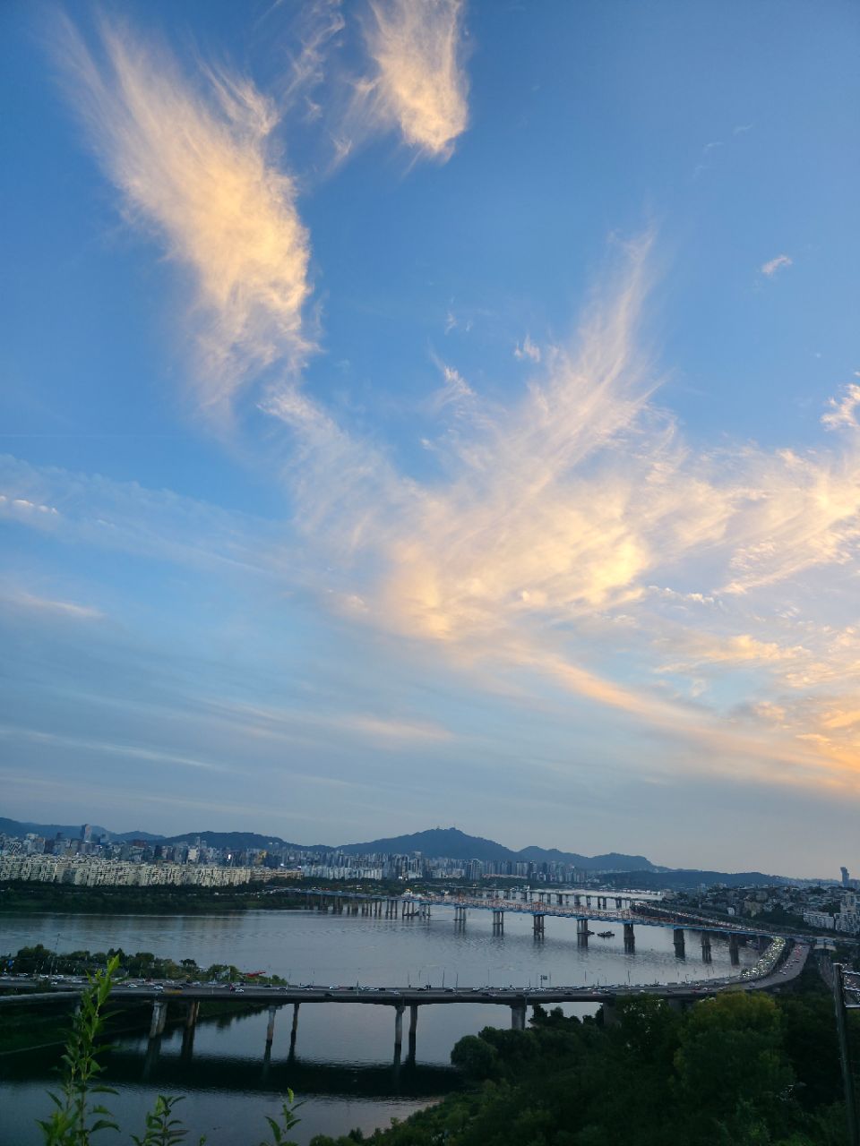 피드 이미지
