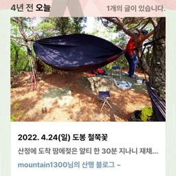 피드에 업로드 된 이미지