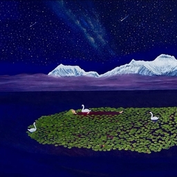 피드에 업로드 된 이미지