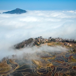 피드에 업로드 된 이미지