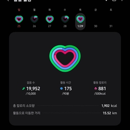 피드에 업로드 된 이미지