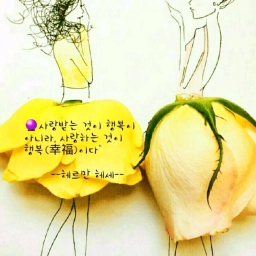 피드에 업로드 된 이미지