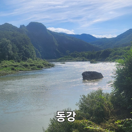 피드 이미지