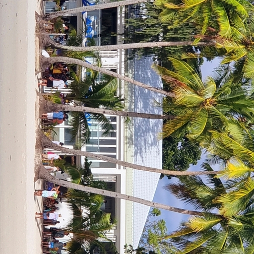 모임 대표 이미지