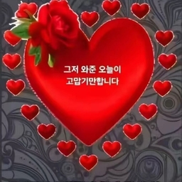 피드에 업로드 된 이미지