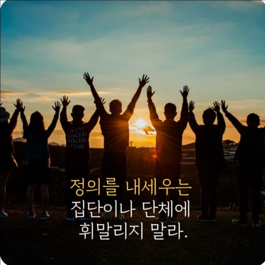 피드 이미지