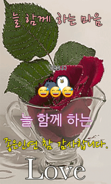 피드에 업로드 된 이미지