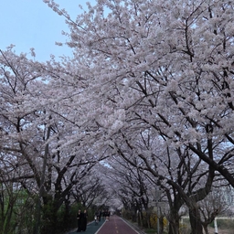 피드에 업로드 된 이미지