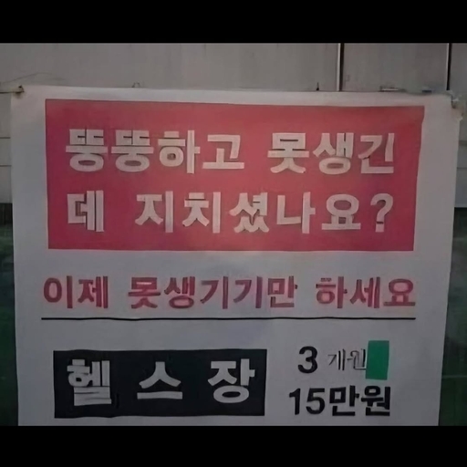 피드 이미지