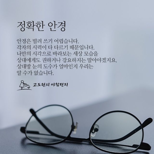 피드 이미지