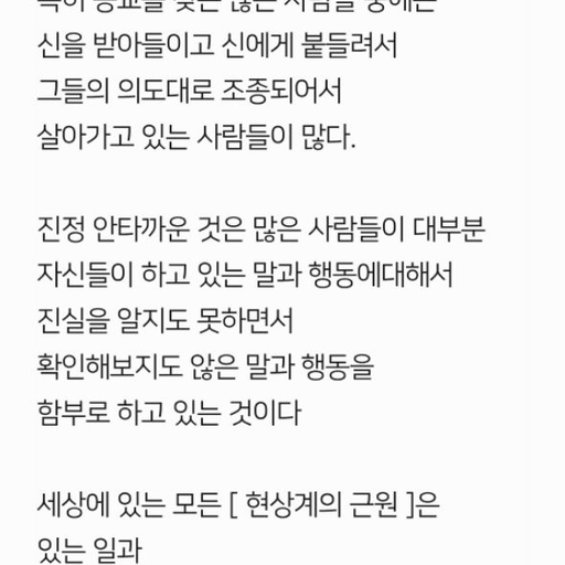 피드 이미지