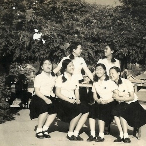 피드 이미지