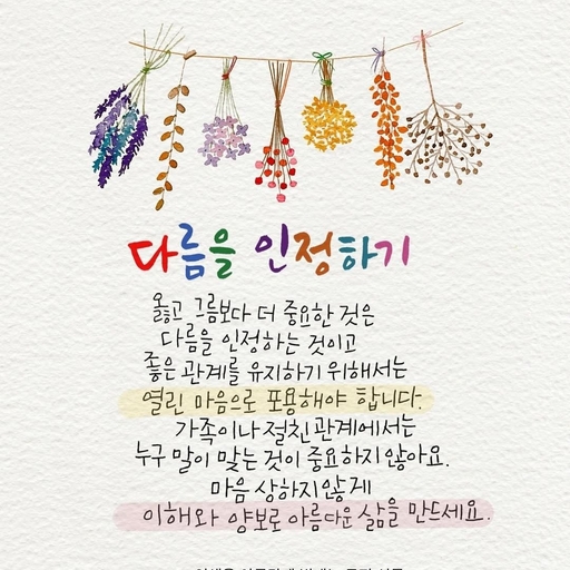 피드 이미지